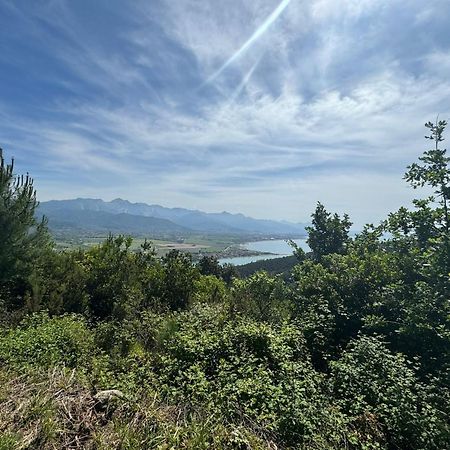 Apartament La Terrazza Di Ameglia Alta Zewnętrze zdjęcie