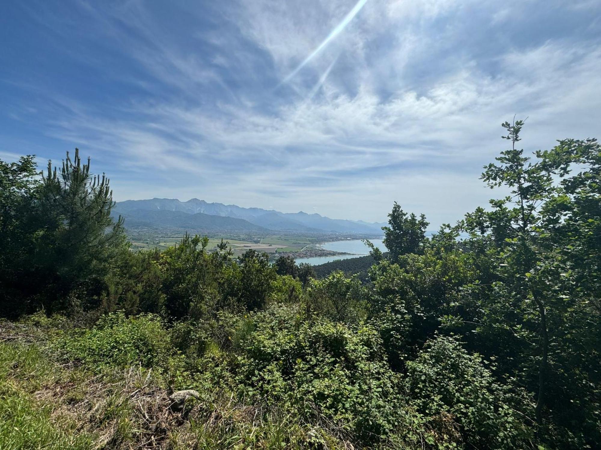 Apartament La Terrazza Di Ameglia Alta Zewnętrze zdjęcie
