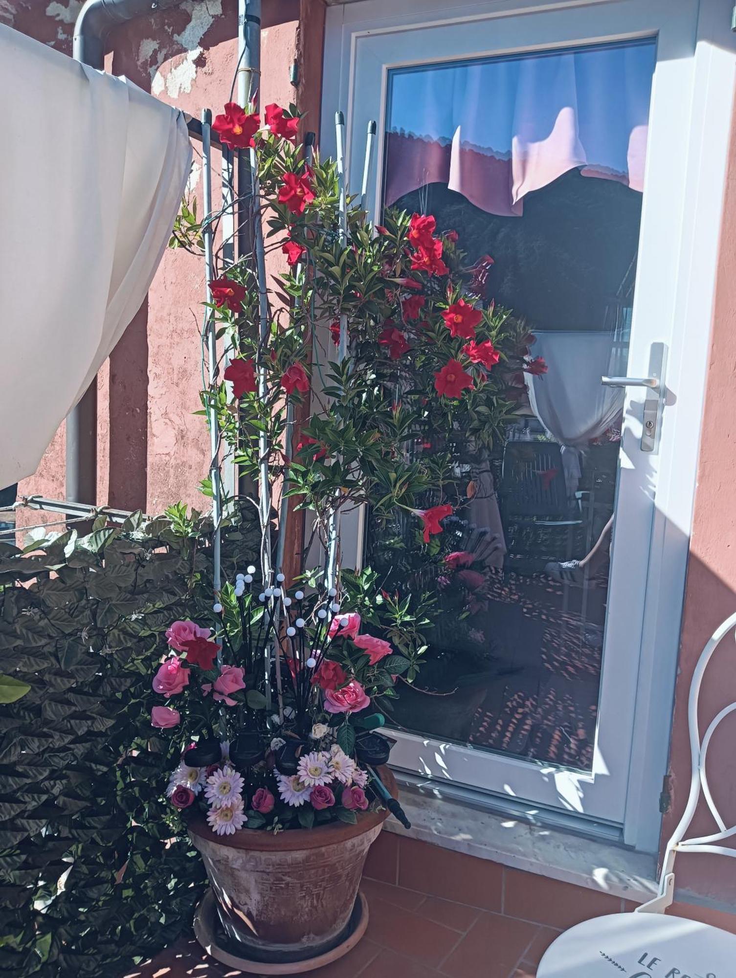 Apartament La Terrazza Di Ameglia Alta Zewnętrze zdjęcie